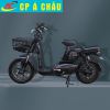 Xe đạp điện M9