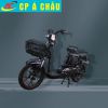 Xe đạp điện M9
