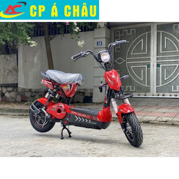 Xe Kashima M5 - Đen