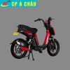 Xe máy điện Captin