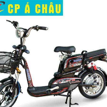 Xe đạp điện Bluera Fast 10