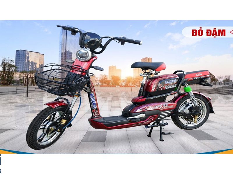Xe đạp điện BLUERA FAST10_16