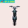 Xe máy điện 133FI
