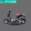 Xe máy điện S6