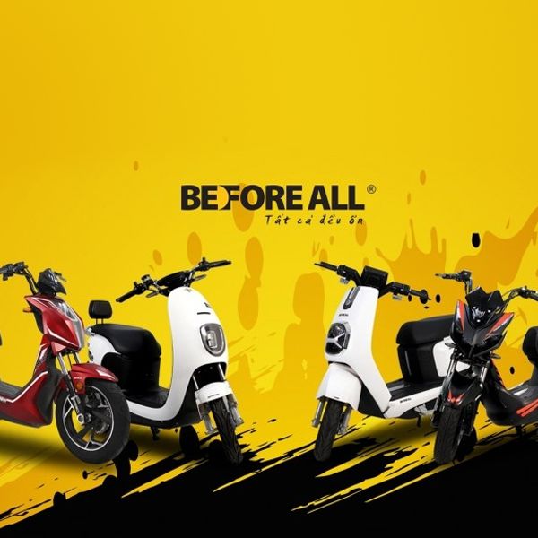 Dịch vụ bảo hành Xe điện Before all