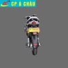 Xe máy điện S6