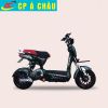 Xe máy điện 133FI