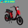 Xe máy điện Captin