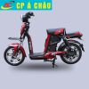 Xe đạp điện BF1