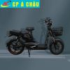 Xe đạp điện M9