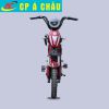 Xe đạp điện BF1