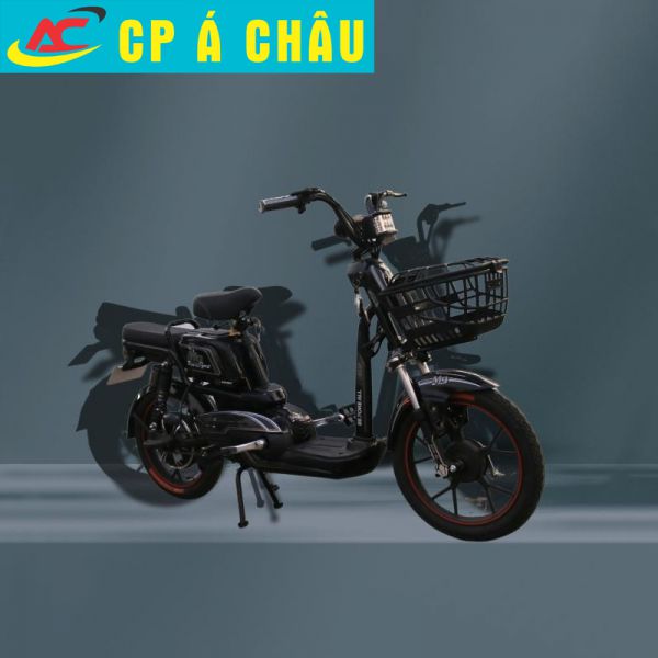 Xe đạp điện M9
