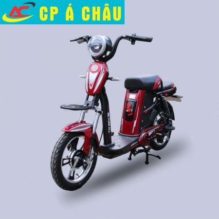Xe đạp điện BF1