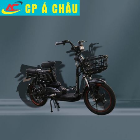 Xe đạp điện M9
