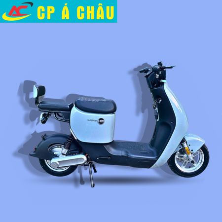 Xe máy điện GAROW