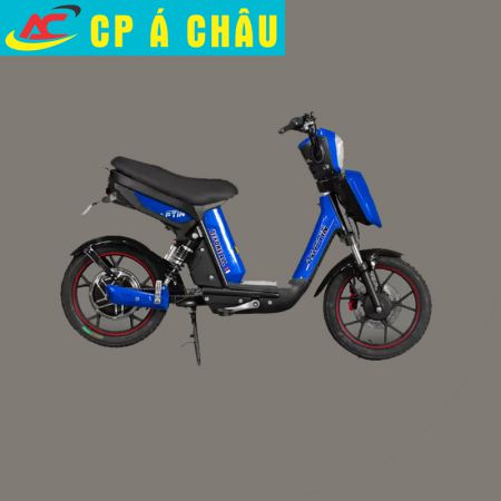 Xe đạp điện Captin
