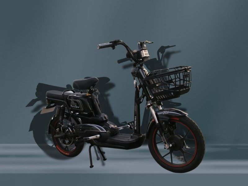Xe đạp điện M9