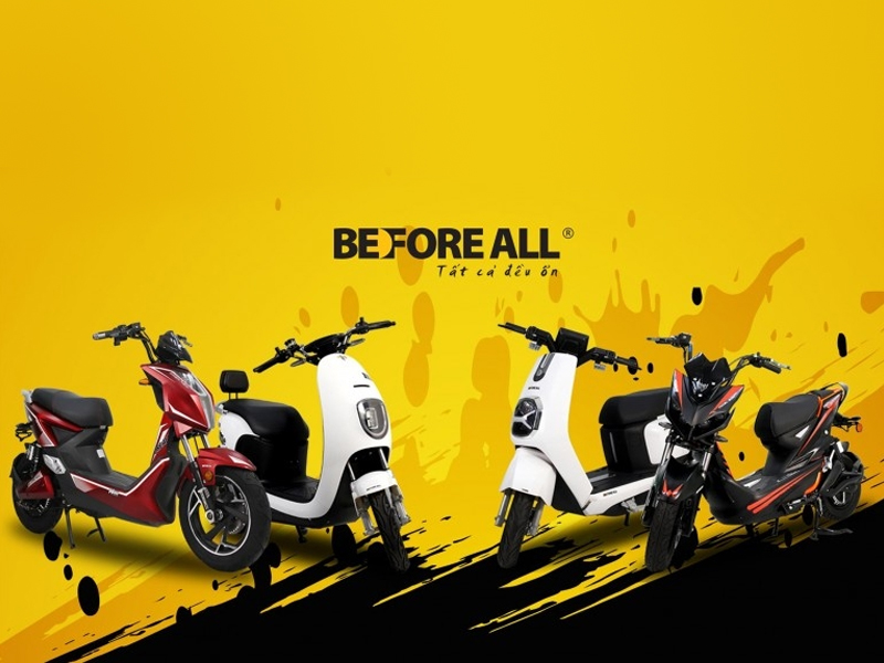Dịch vụ bảo hành Xe điện Before all